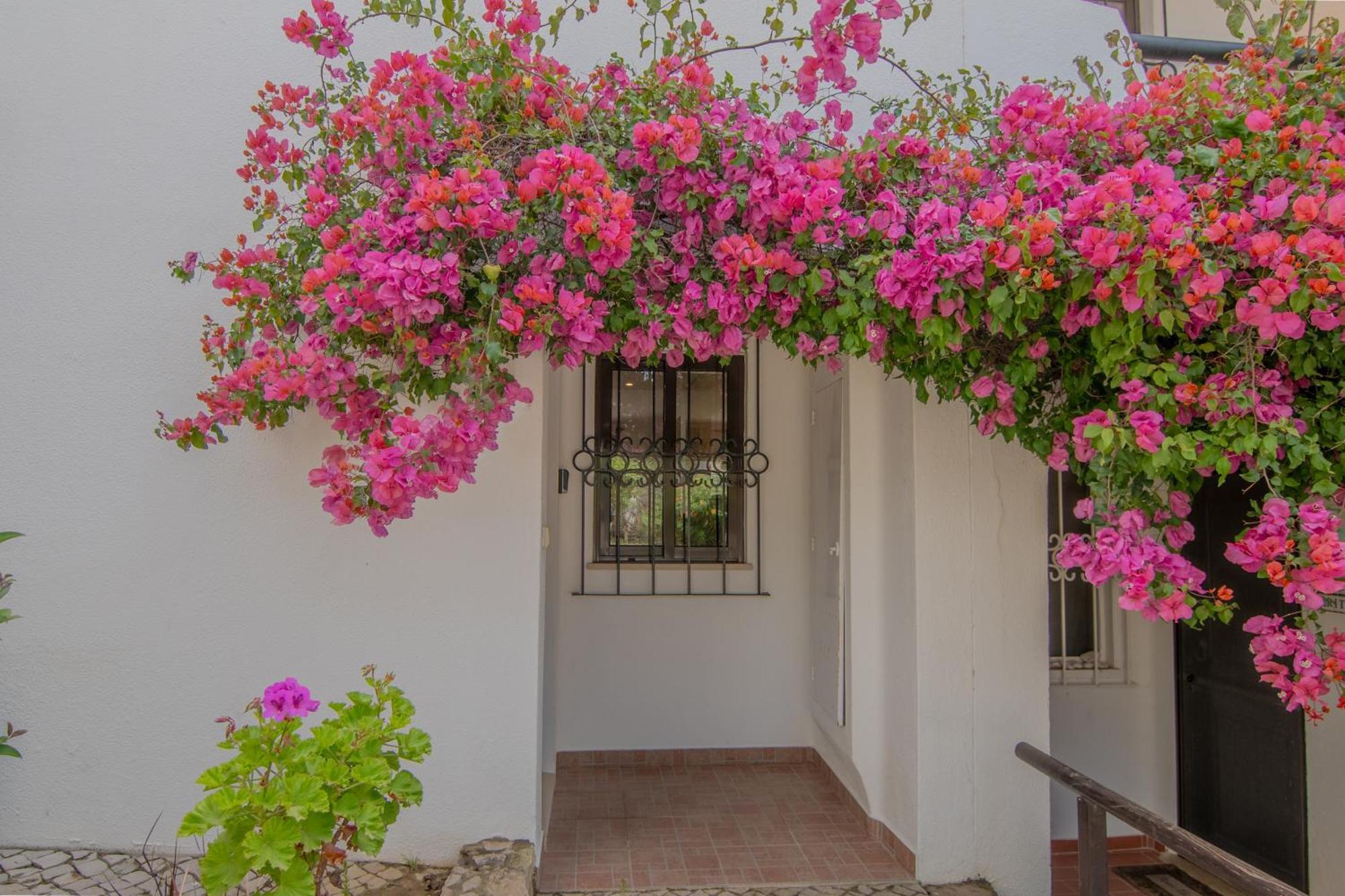 Apt. 65, Premium Location, Beach&Swimming Pool Albufeira Exterior foto